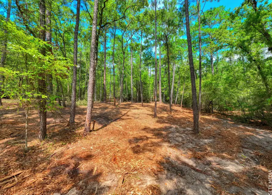 6566 Parkside Drive, Brookeland, TX 75931 - #3