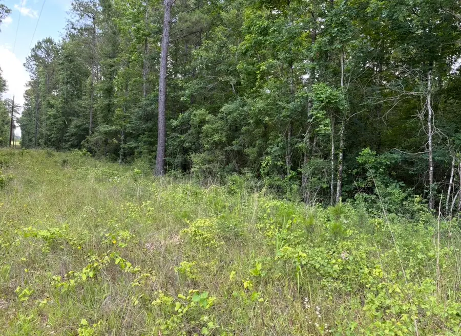 1484 State Hwy 21e, Hemphill, TX 75948 - #3