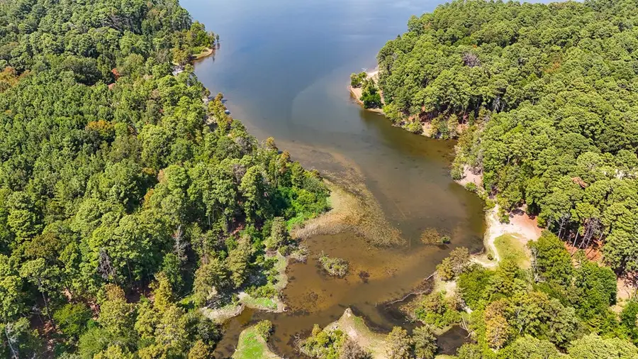 3 A375 tract 6 Moore Farm Road, Zavalla, TX 75980 - #3