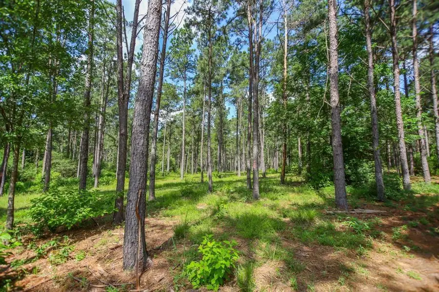 1950 Buckhorn Creek Drive, Crockett, TX 75835 - #2