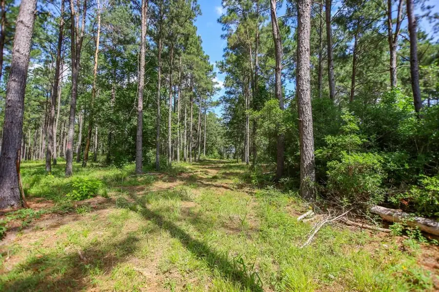 1950 Buckhorn Creek Drive, Crockett, TX 75835 - #3