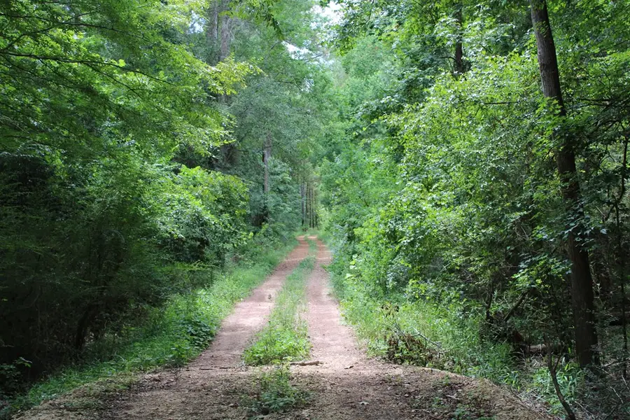 PID 69934 TR1 Duff Rd, Livingston, TX 77351 - #3