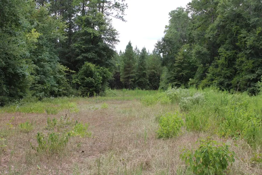 PID 69934 TR2 Duff Rd, Livingston, TX 77351 - #1