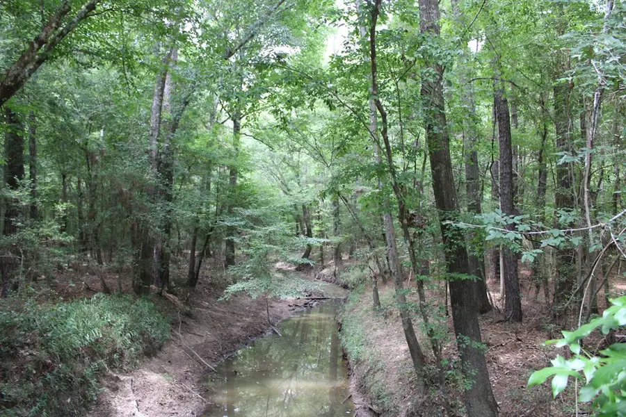 PID 69934 TR2 Duff Rd, Livingston, TX 77351 - #2