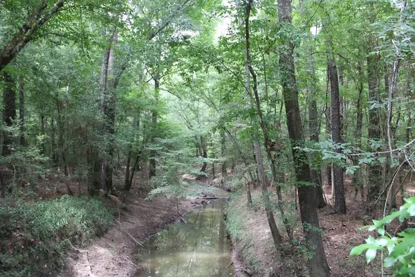 PID 69934 TR3 Duff Rd, Livingston, TX 77351