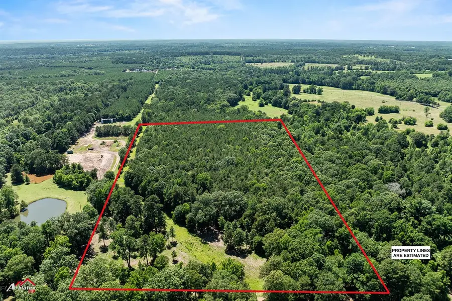 1590 County Road 3801, Joaquin, TX 75954 - #3