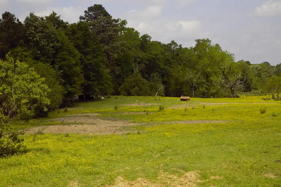 350 Rotan, Corrigan, TX 75939 - #2