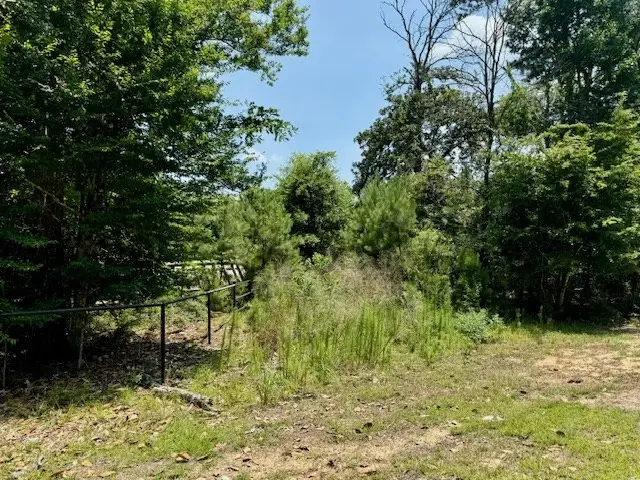 R005286 County Road 153, Jasper, TX 75951 - #2