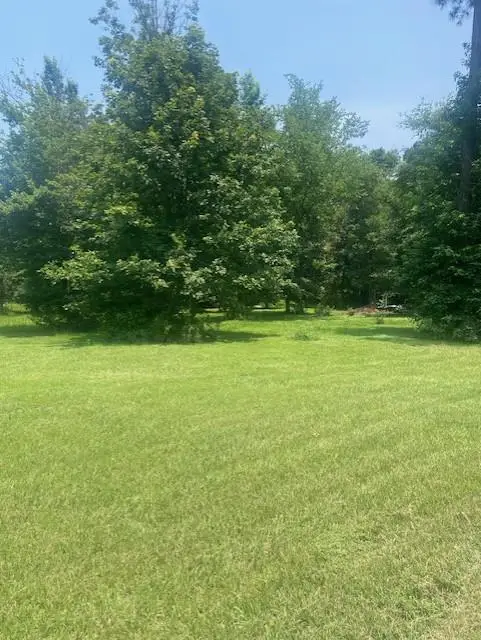 203 Cr 557, Nacogdoches, TX 75961