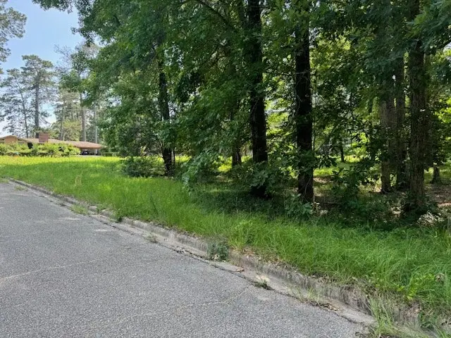 Lot 1 Hunterwood Drive, Jasper, TX 75951 - #2