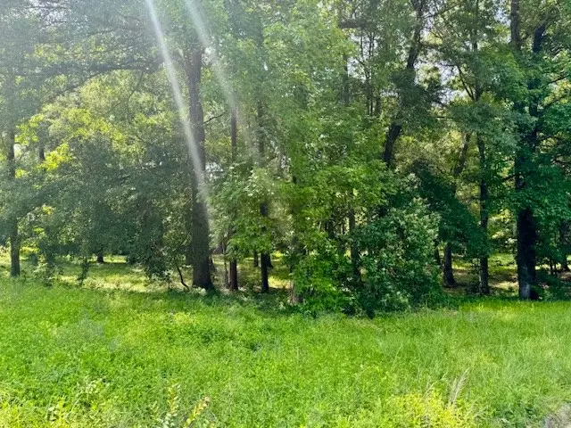 Lot 1 Hunterwood Drive, Jasper, TX 75951 - #3