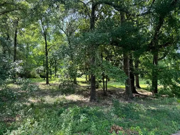 Lot 2 Hunterwood Drive, Jasper, TX 75951