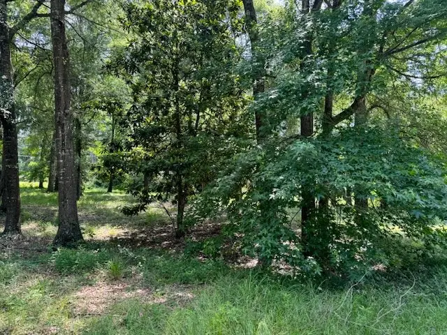 Lot 2 Hunterwood Drive, Jasper, TX 75951 - #2
