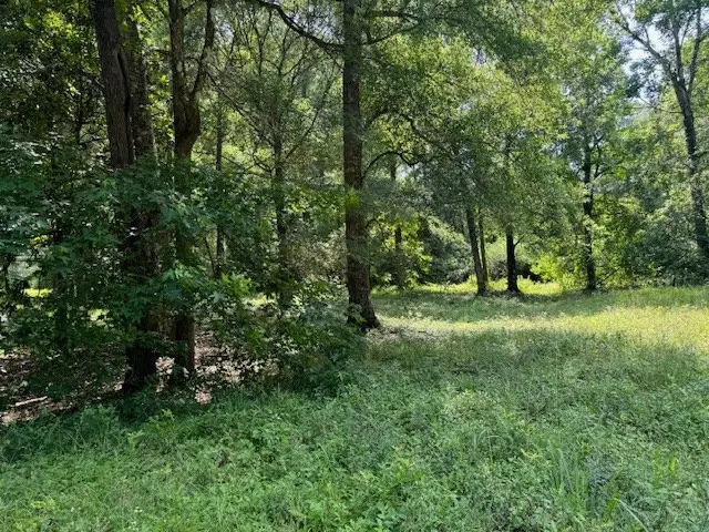 Lot 2 Hunterwood Drive, Jasper, TX 75951 - #3