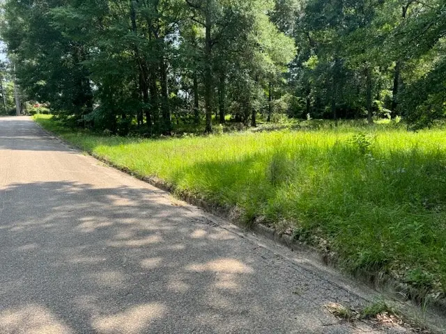 Lot 3 Hunterwood Drive, Jasper, TX 75951 - #2