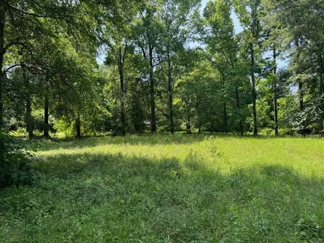 Lot 3 Hunterwood Drive, Jasper, TX 75951 - #3