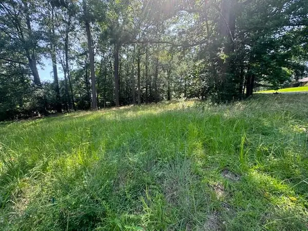 Lot 40 Hunterwood Drive, Jasper, TX 75951