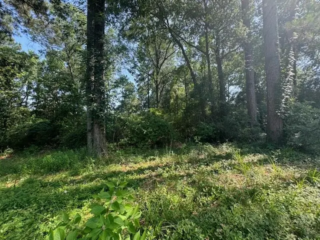 Lot 41 Quail Ridge, Jasper, TX 75951 - #2