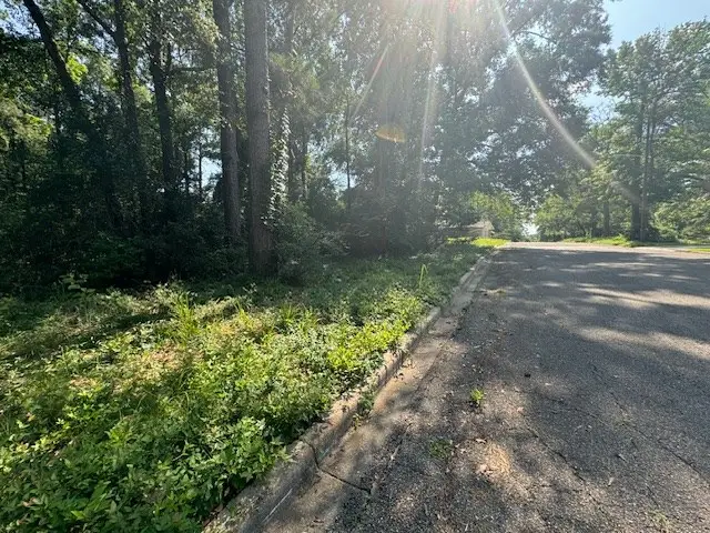 Lot 41 Quail Ridge, Jasper, TX 75951 - #3