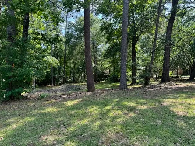 Lot 116 Creek Bend, Jasper, TX 75951 - #2