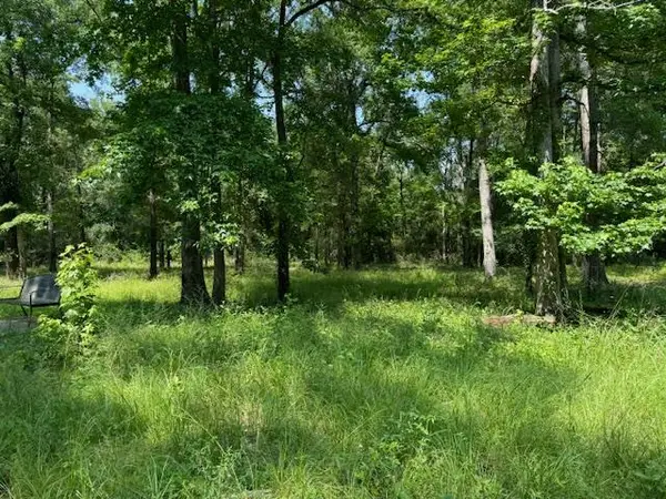 Lot 76 Hunterwood Drive, Jasper, TX 75951