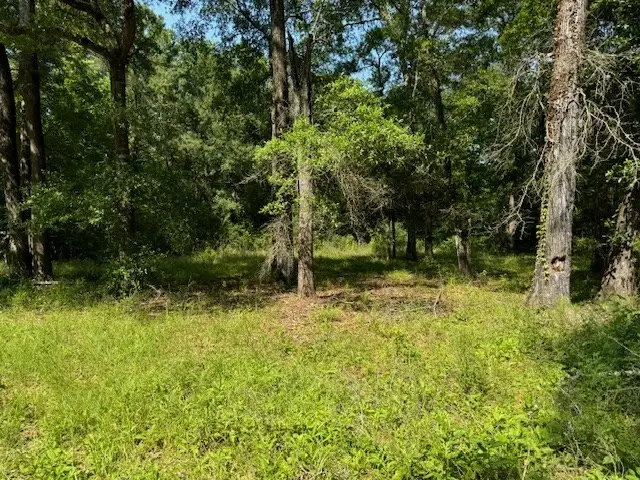 Lot 76 Hunterwood Drive, Jasper, TX 75951 - #2