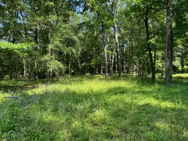 Lot 76 Hunterwood Drive, Jasper, TX 75951 - #3