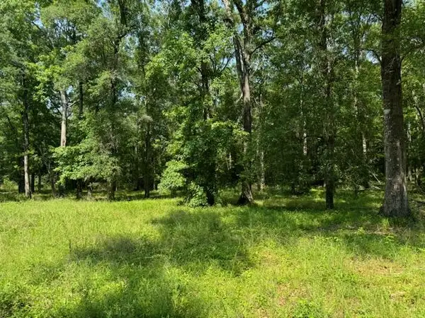 Lot 77 Hunterwood Drive, Jasper, TX 75951