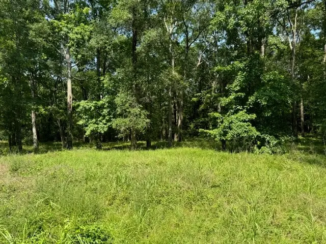 Lot 77 Hunterwood Drive, Jasper, TX 75951 - #2