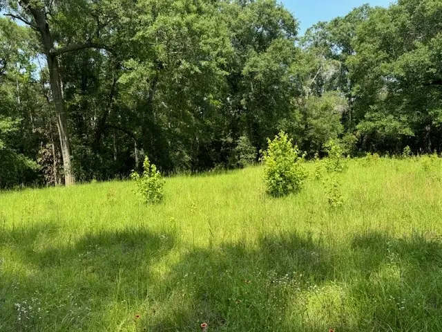 Lot 78 Hunterwood Drive, Jasper, TX 75951 - #2
