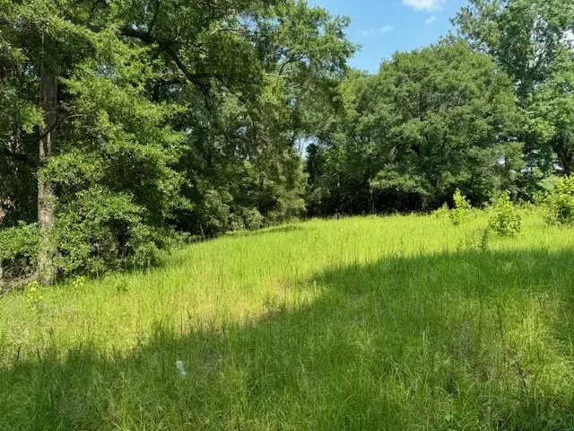 Lot 78 Hunterwood Drive, Jasper, TX 75951 - #3