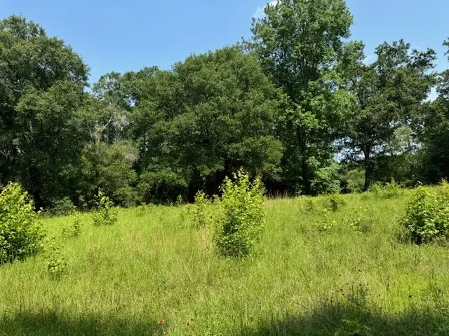 Lot 79 Hunterwood Drive, Jasper, TX 75951 - #2