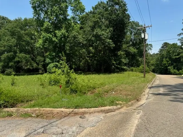 Lot 79 Hunterwood Drive, Jasper, TX 75951 - #3