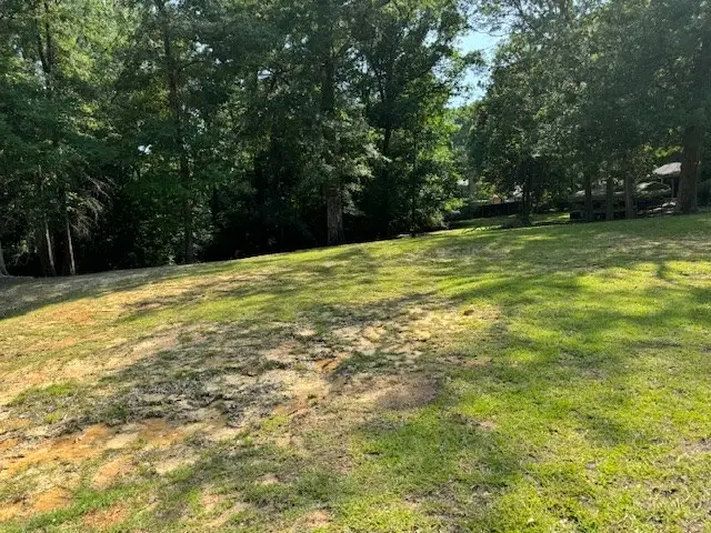 Lot 80 Hunterwood Drive, Jasper, TX 75951 - #2