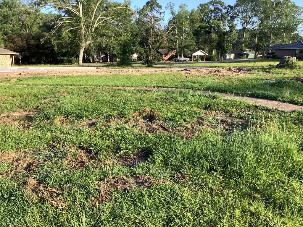 442 Rosewood Drive, Jasper, TX 75951 - #1