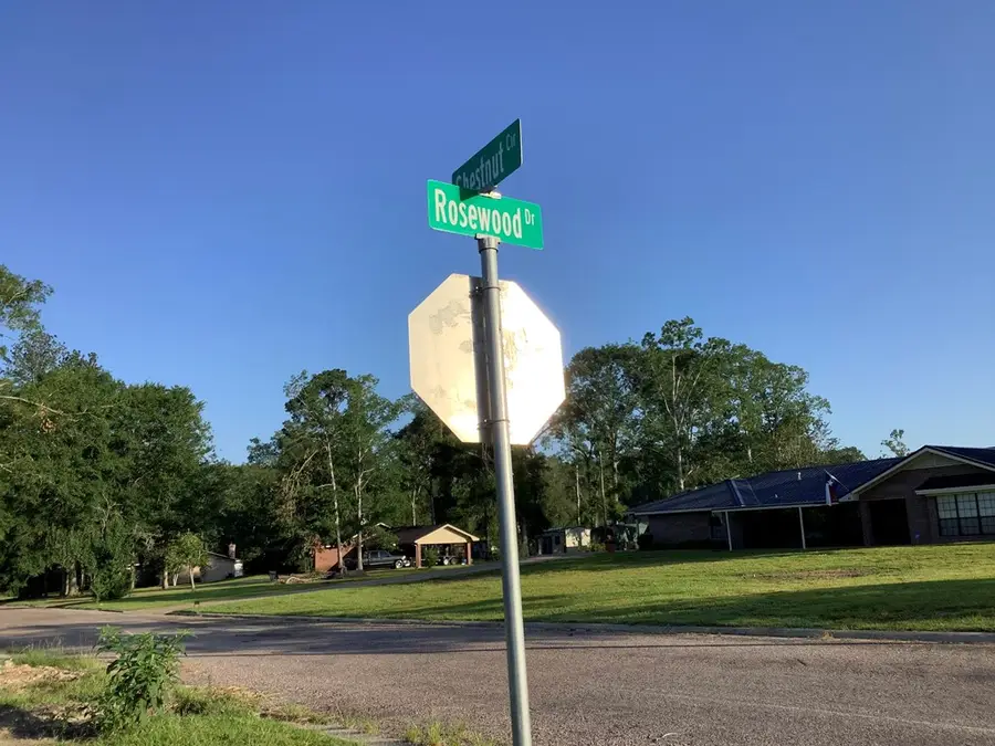 442 Rosewood Drive, Jasper, TX 75951 - #2