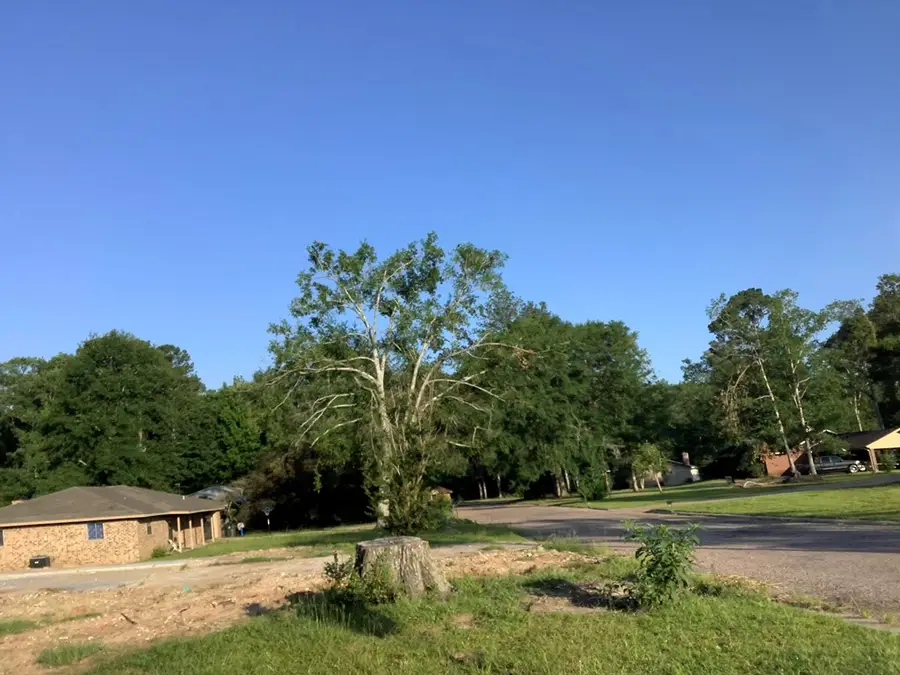 442 Rosewood Drive, Jasper, TX 75951 - #3
