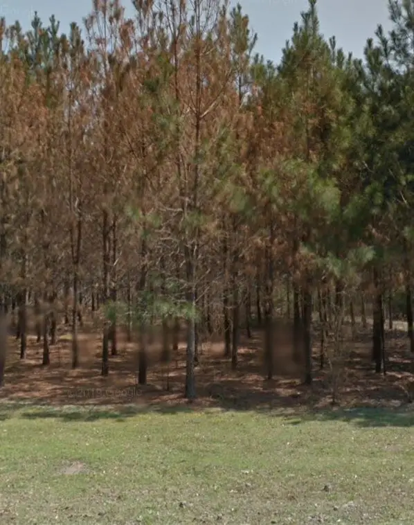 114 Everwood Court, Lufkin, TX 75904 - #3