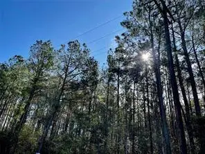 6+/- County Road 3400, Colmesneil, TX 75938