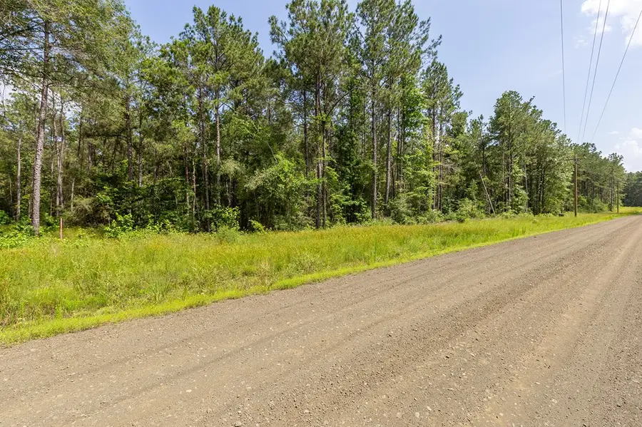 LOT 29 & LOT 30 Eagles Nest, Broaddus, TX 75929 - #2