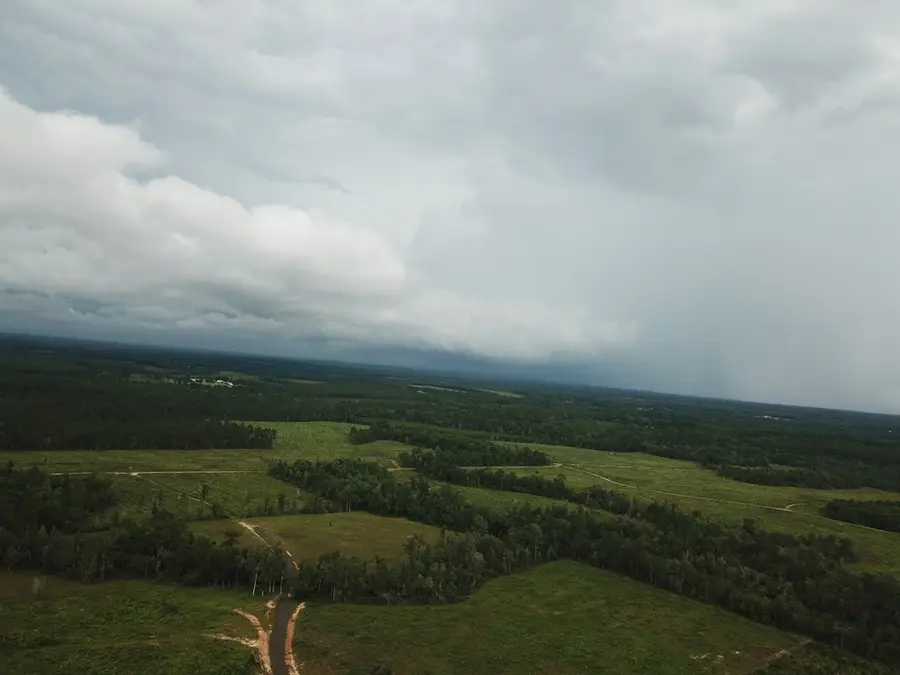 315 PR 5079 County Road 510, Kirbyville, TX 75956 - #2