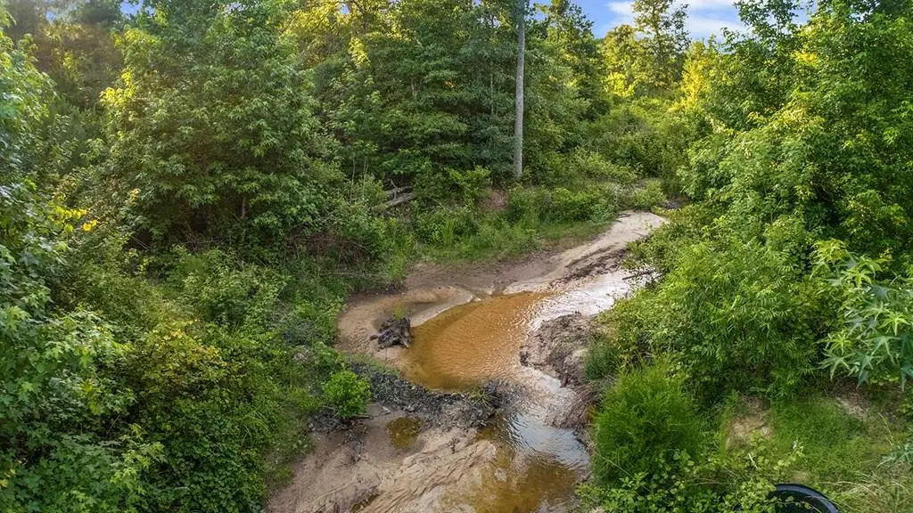 505 Private Rd 8001, Jasper, TX 75951 - #1