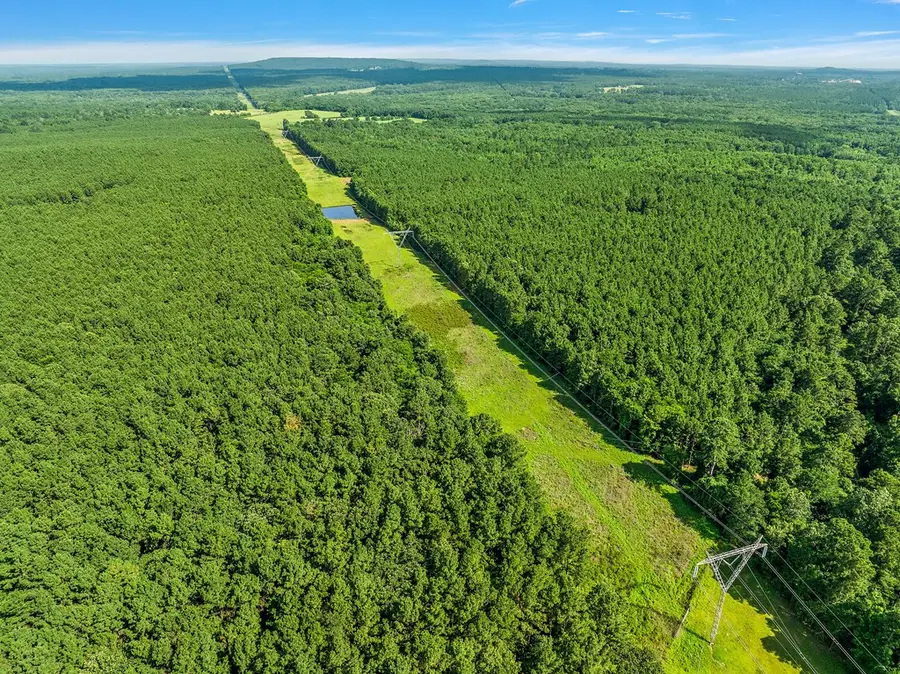 201.79 acres Cr 4238, Cushing, TX 75760 - #2