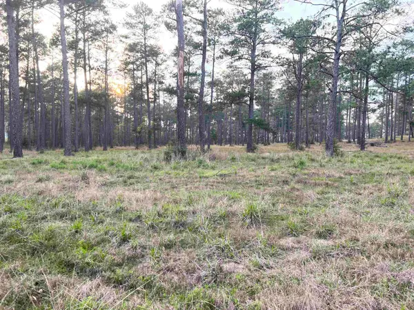 087 Pr 6026, Brookeland, TX 75931