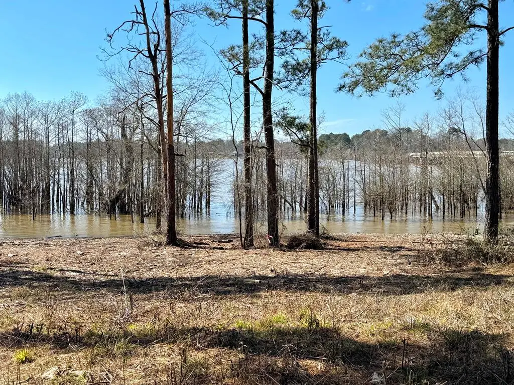 Lot 001 Fm 83, Broaddus, TX 75929 - #1
