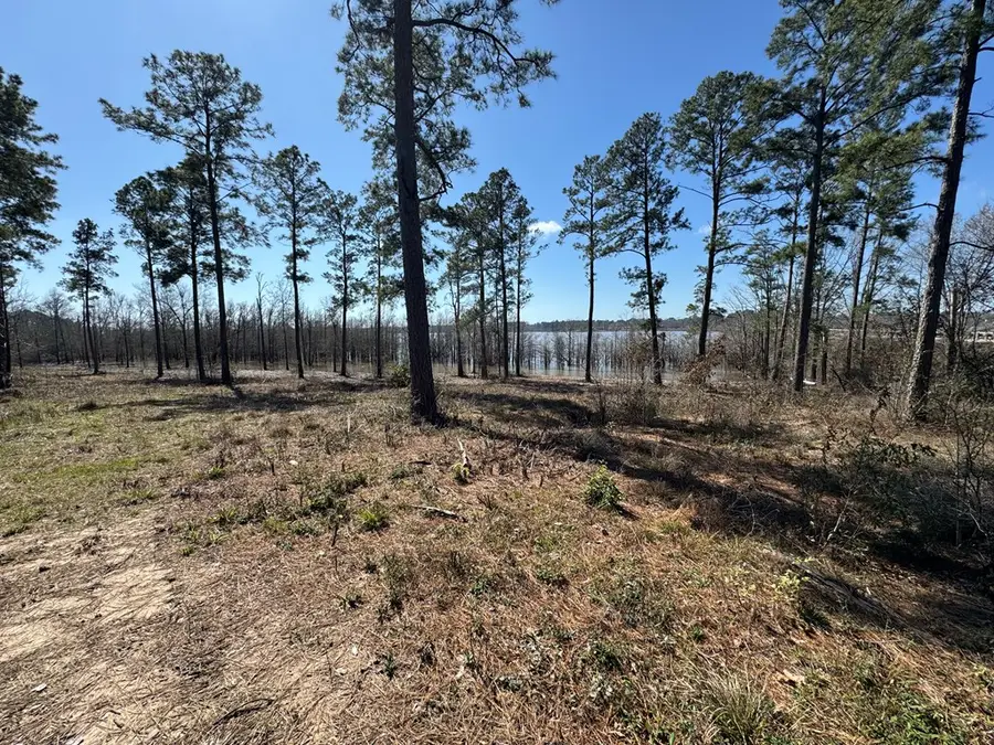 Lot 001 Fm 83, Broaddus, TX 75929 - #3
