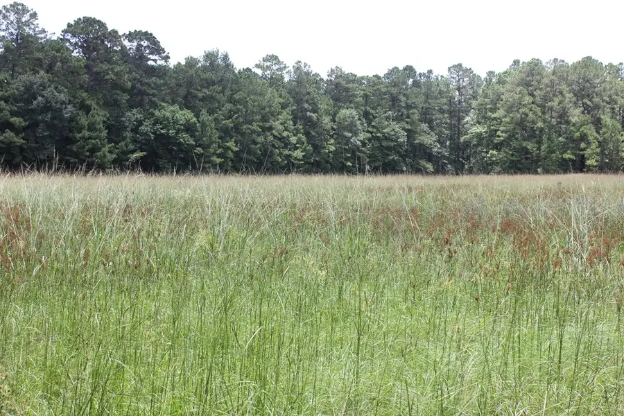 PID 25155 Fm 2109, Huntington, TX 75949 - #2