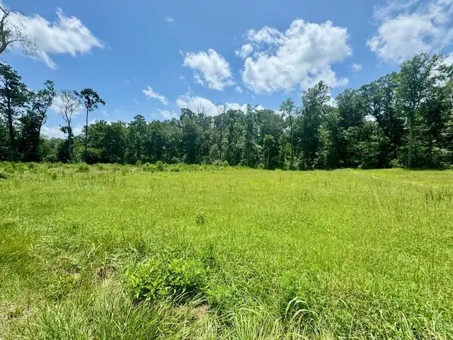 Lot 70 Ryall Ac County Road 172, Jasper, TX 75951 - #1