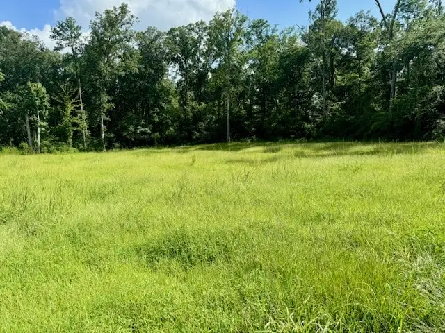 Lot 70 Ryall Ac County Road 172, Jasper, TX 75951 - #2