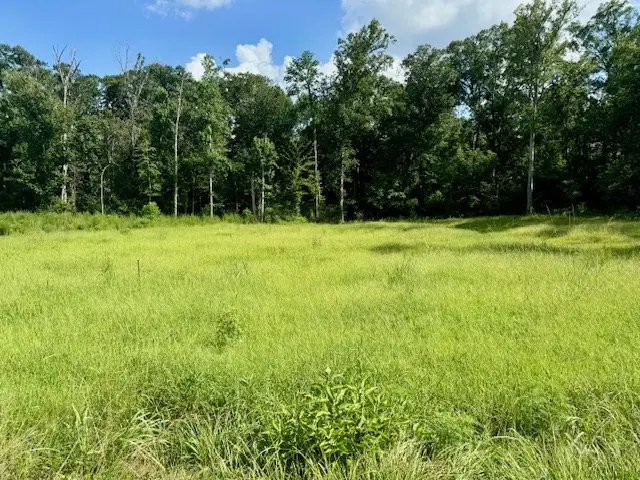 Lot 70 Ryall Ac County Road 172, Jasper, TX 75951 - #3